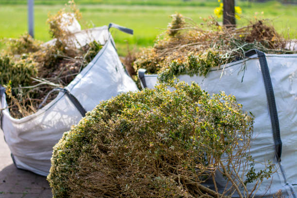 Yard Cleanup Services in Sunman, IN